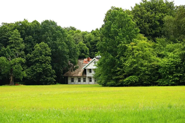 552 ORANGEWOOD DRIVE, VIRGINIA PARK