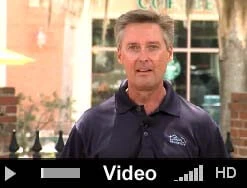 dunedin florida video